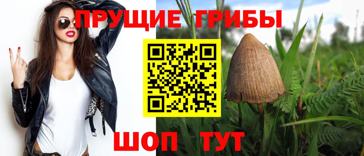 Норильск  Псилоцибиновые грибы Magic Shrooms  Галлюциногенные грибы Cubensis  Вход с VPN 