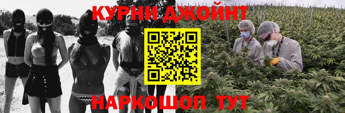 Бошки марихуана VHQ  Каннабис White Widow  Каннабис планчик  Норильск  Вход с VPN  Бошки Шишки планчик 
